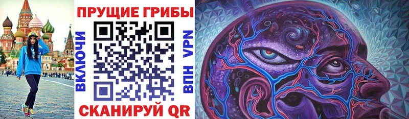 shop какой сайт  Чебоксары  Галлюциногенные грибы GOLDEN TEACHER 