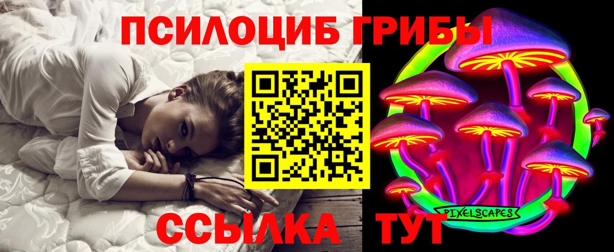 Галлюциногенные грибы Psilocybine cubensis Чебоксары