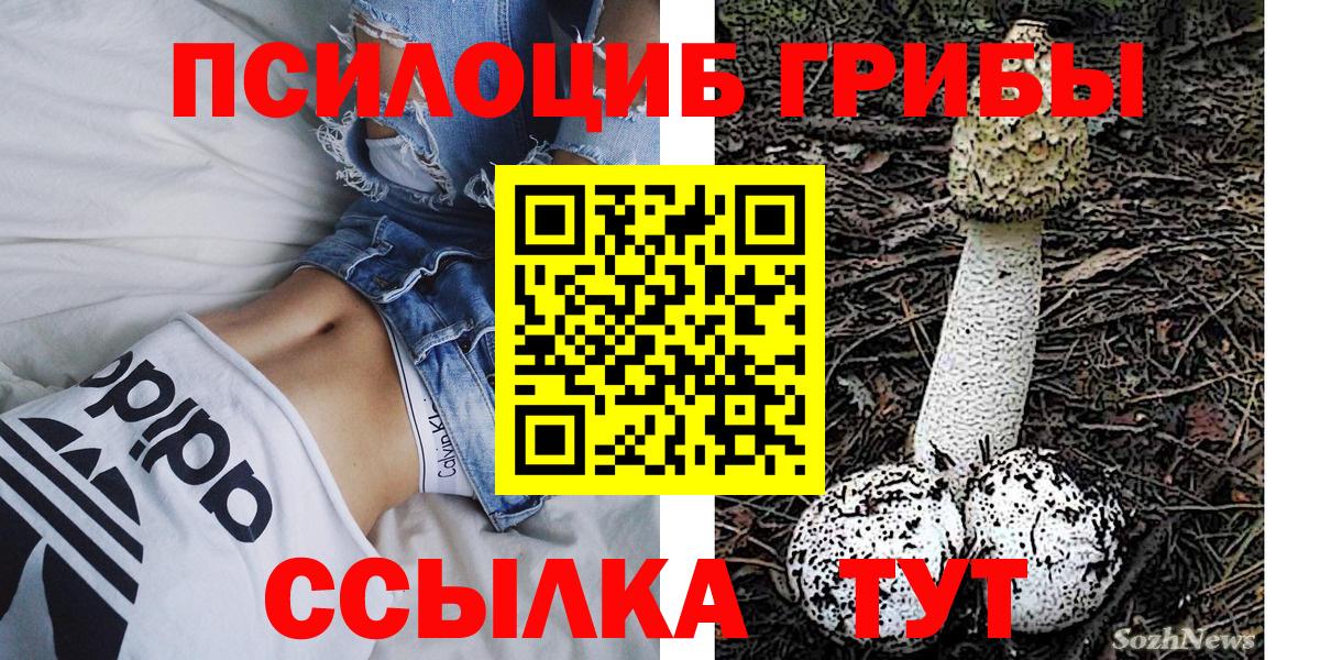 Галлюциногенные грибы Cubensis  Вход с VPN  Чебоксары 