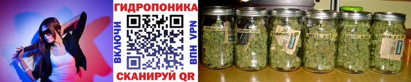 Шишки марихуана план продажа наркотиков Чебоксары